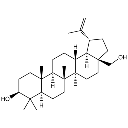 桦木脑，98%